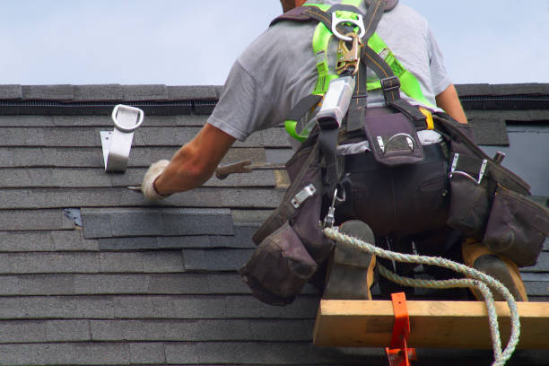 Best Roof Leak Repair  in Elk Mound, WI