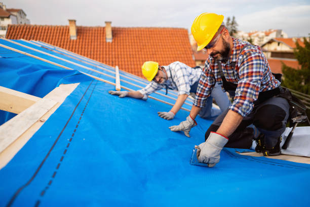 Best Storm Damage Roof Repair  in Elk Mound, WI