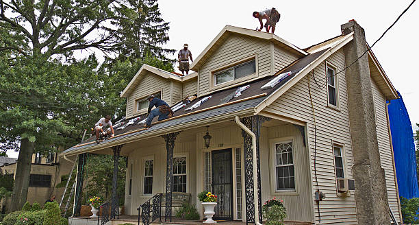 Best Metal Roofing Contractor  in Elk Mound, WI