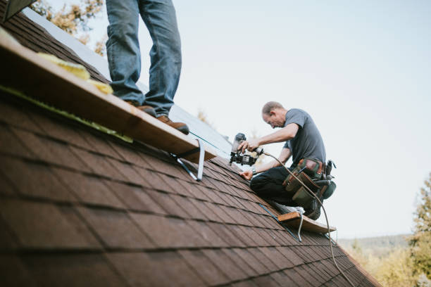 Best Roof Maintenance Services  in Elk Mound, WI